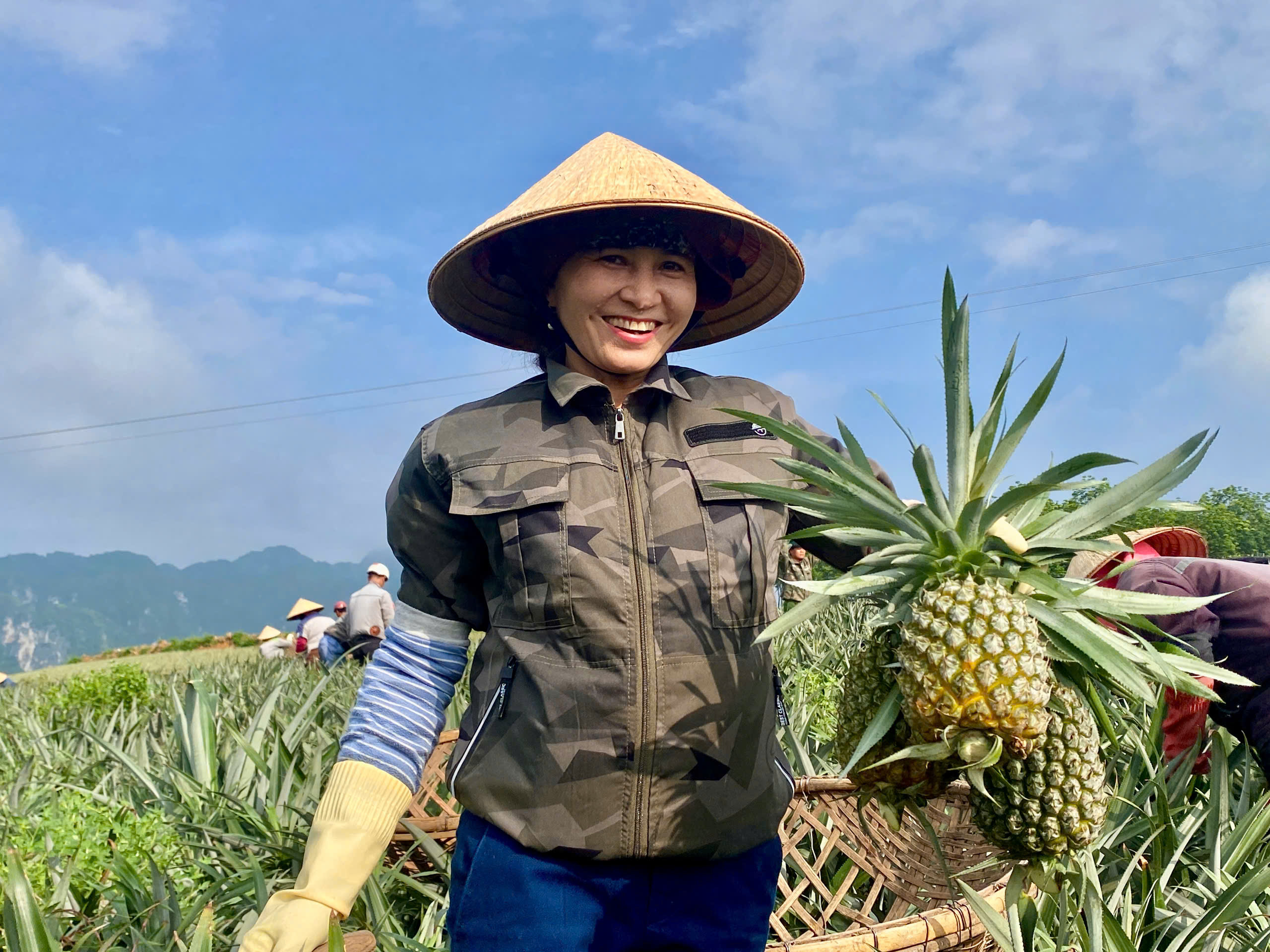 Anh-tin-bai